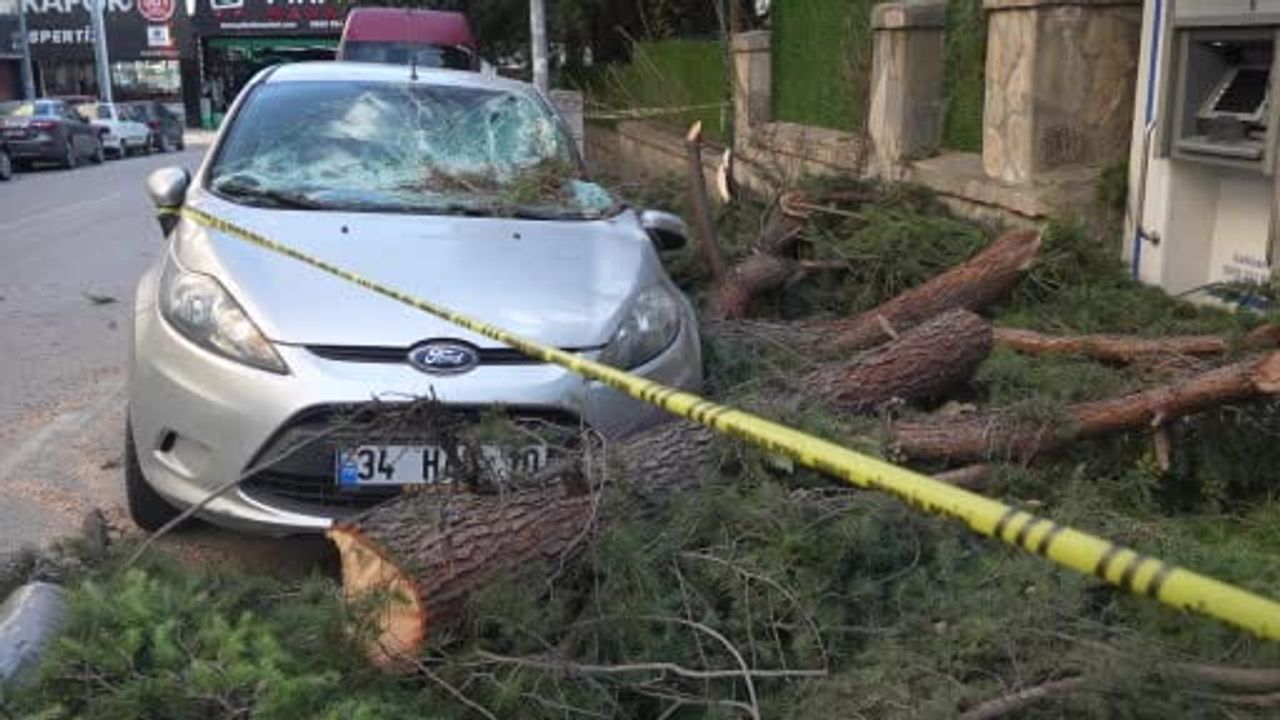 Samsun'da Fırtına Hasarı: Park Halindeki Otomobile Ağaç Parçası Düştü, Çatılar Uçtu