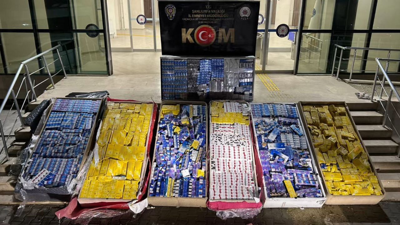Şanlıurfa’da 40 bin paket kaçak sigara ele geçirildi — 3 buçuk milyon lira değerinde