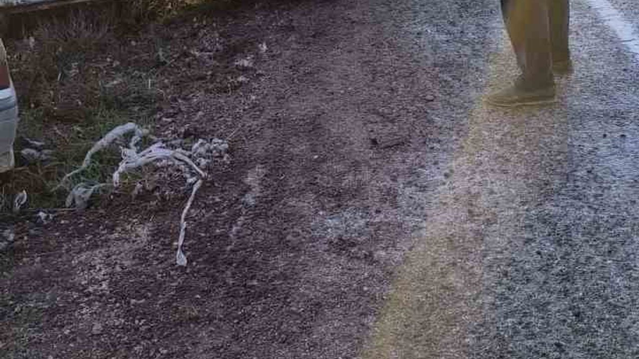 Şanlıurfa'da Buzlanma: 4 Kaza, 7 Yaralı