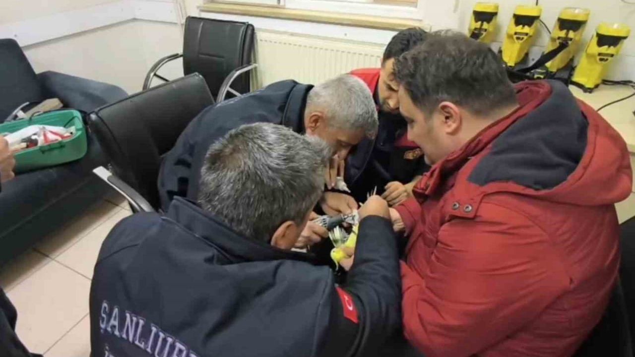 Şanlıurfa’da İtfaiye, Papağanın Ayağına Sıkışan Halhalı Kurtardı