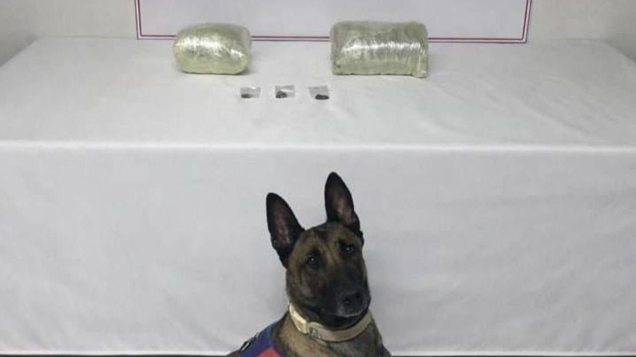 Şanlıurfa Siverek’te 2 kilogram kubar esrar ele geçirildi: 1 gözaltı