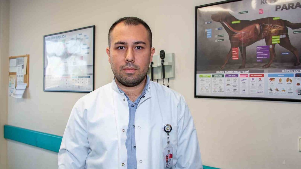 Şap Hastalığında Aşılama Hayati Öneme Sahip