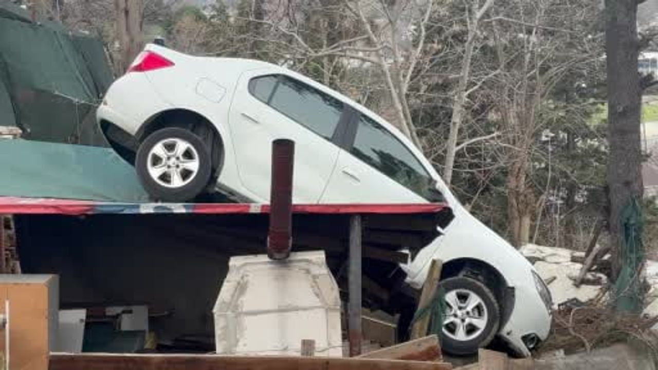 Sarıyer'de Vites Hatası: Otomobil Kamelyanın Üzerine Uçtu