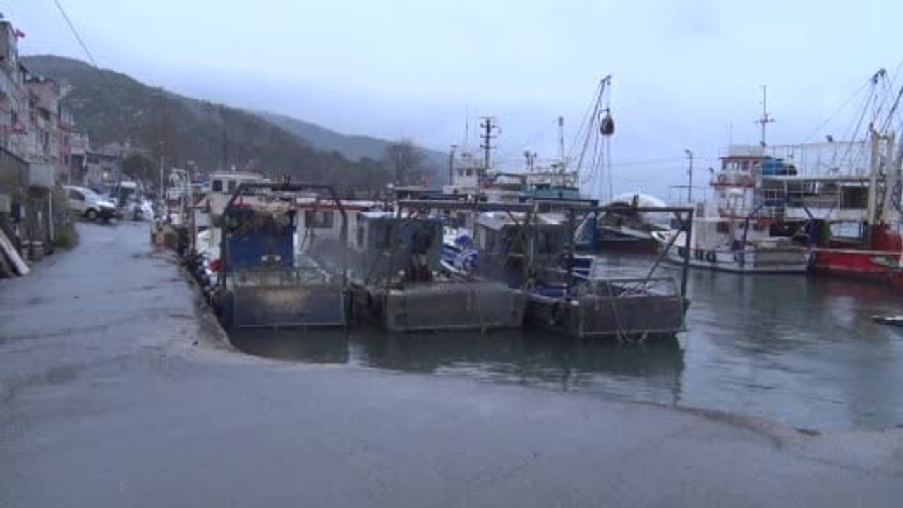 Sarıyer Rumelikavağı'nda Otomobil Denize Düştü — Sürücü Vatandaşlarca Kurtarıldı