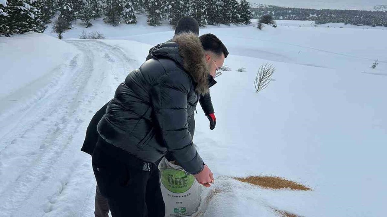 SCÜ'den Sivas'ta Yabani Hayvanlara Yem Desteği