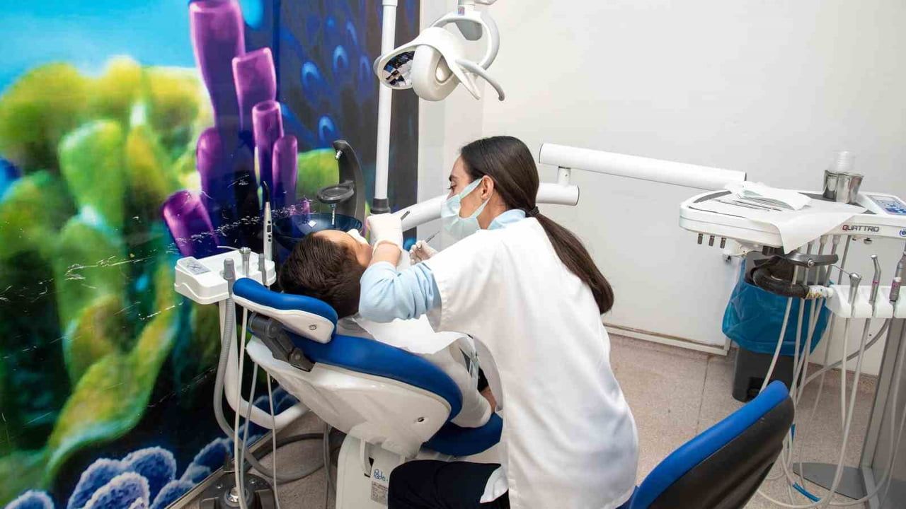 Selçuk Üniversitesi 2025'te Sağlık ve Eğitimde Güçlü Yatırımlar