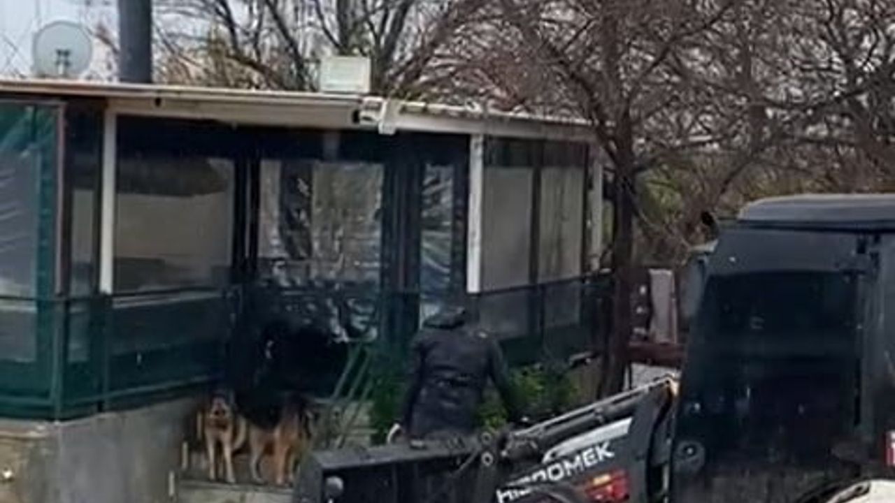 Serik'te Sağanak: Mahsur Kalan 4 Köpek İş Makinesiyle Kurtarıldı