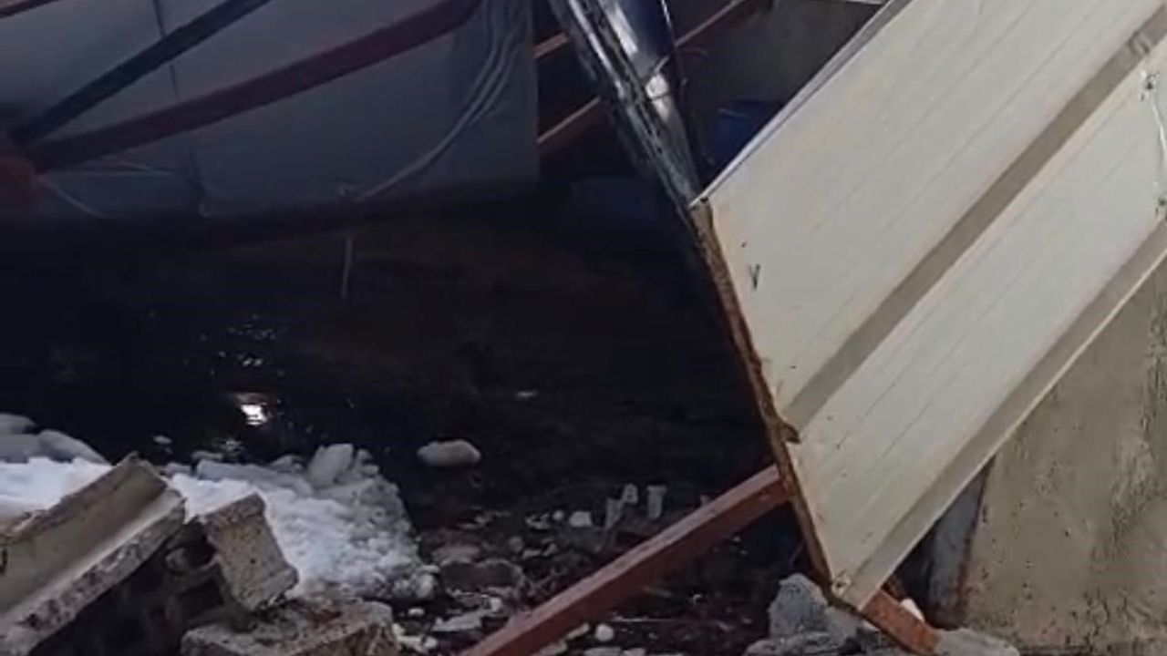 Siirt Baykan'da Çatı Çökmesi: 5 Buzağı Telef Oldu, 80 Büyükbaş Kurtarıldı