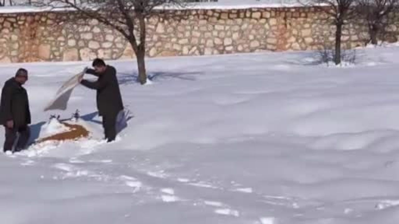 Siirt'te Yaban Hayvanlarına 700 Kilo Yem Bırakıldı