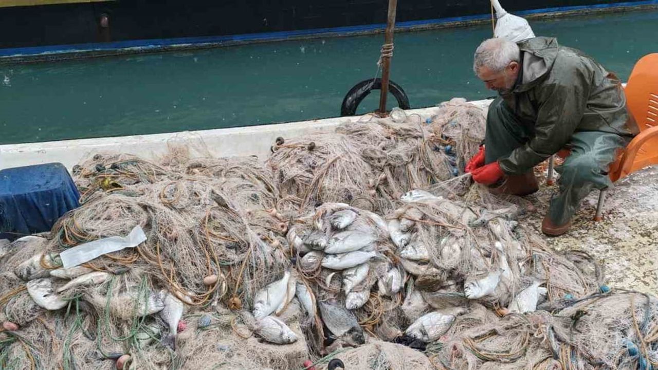 Silifke’de fırtına: Balık çiftliğinin ağı yırtıldı, kıyılar balıkla doldu