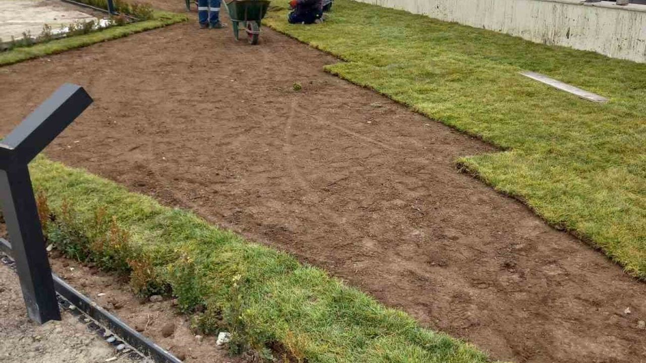 Sincan'da Peyzaj Hamlesi: Ağaç Budama, Fidan Dikimi ve Su Tasarrufu