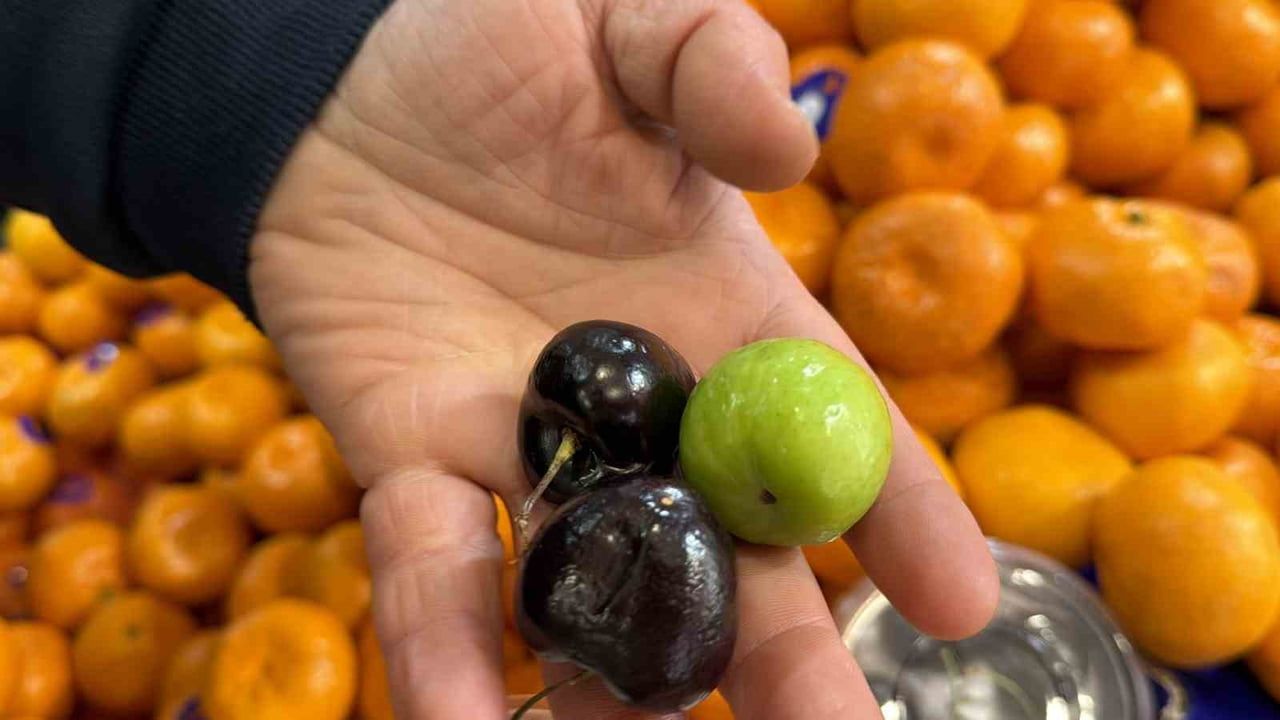 Singapur’dan Düzce’ye: Aşeren Anne Adaylarına Özel Erik ve Kiraz