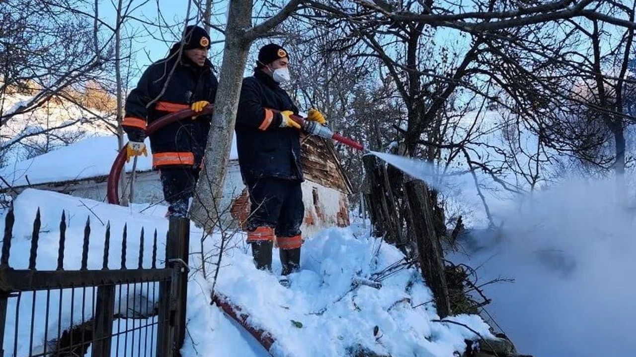 Sinop Gerze'de Ahır Yangını: 9 Büyükbaş Telef Oldu