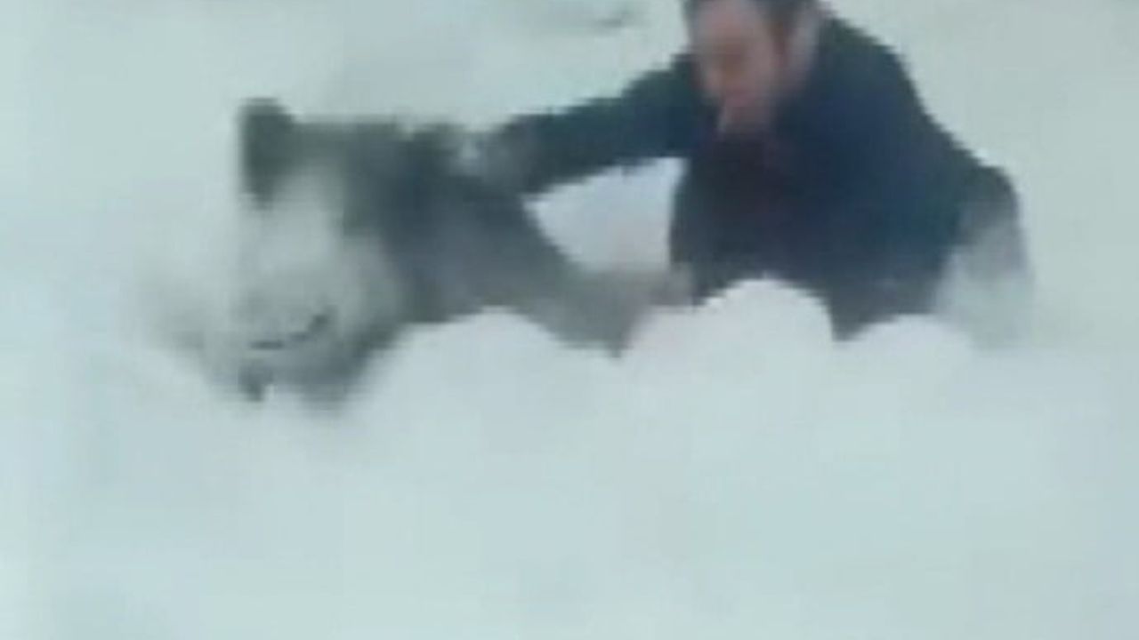 Sinop’ta Vatandaş Yaban Domuzu Sürüsüne Dalıp Yavru Domuzu Eliyle Yakalandı