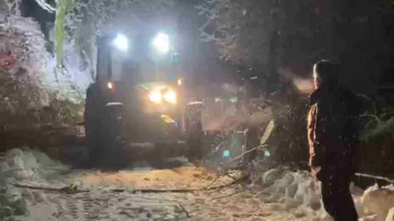 Sinop Türkeli'de Ağaç Devrildi — Karabey Yolunda Ulaşım Aksadı