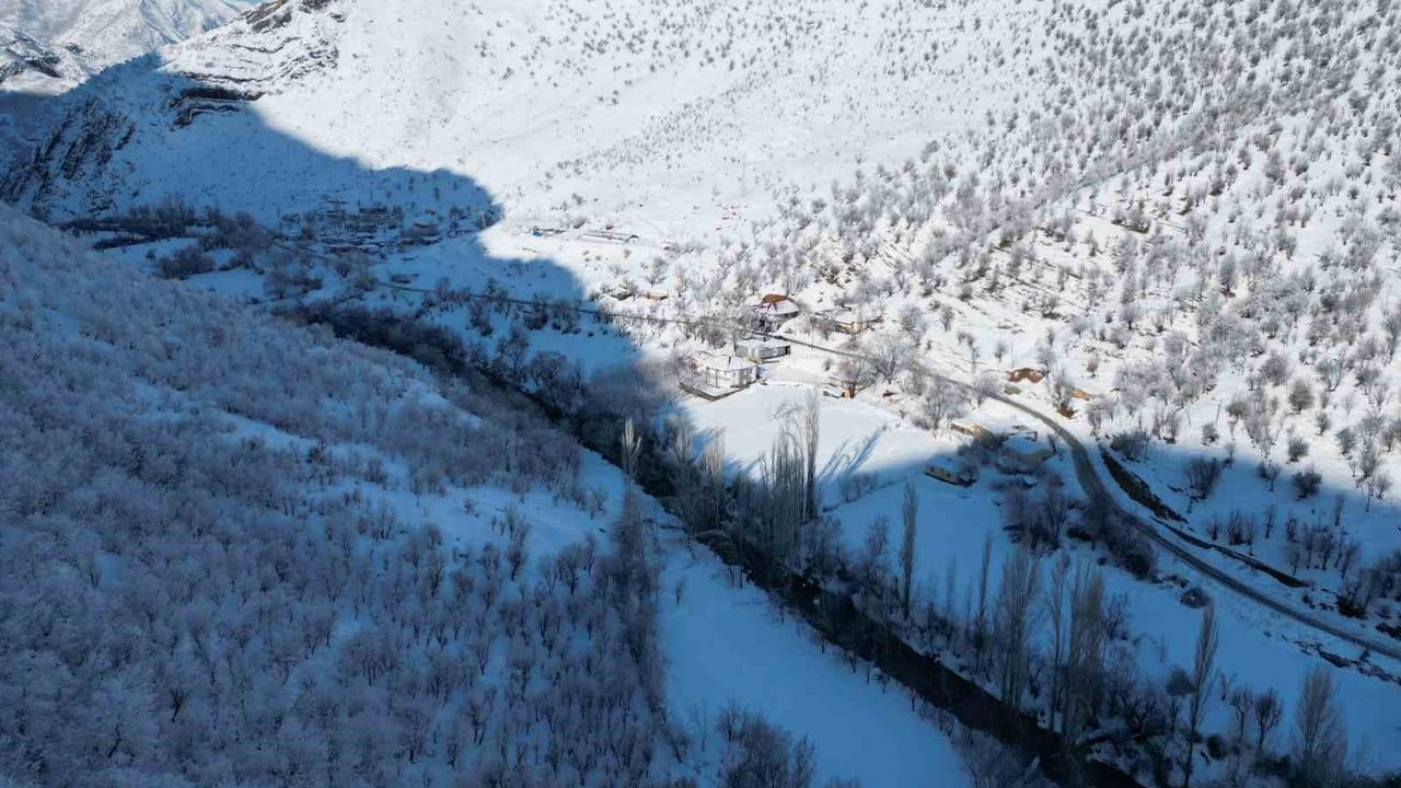 Şırnak Beytüşşebap'ta Dereler Buz Tuttu