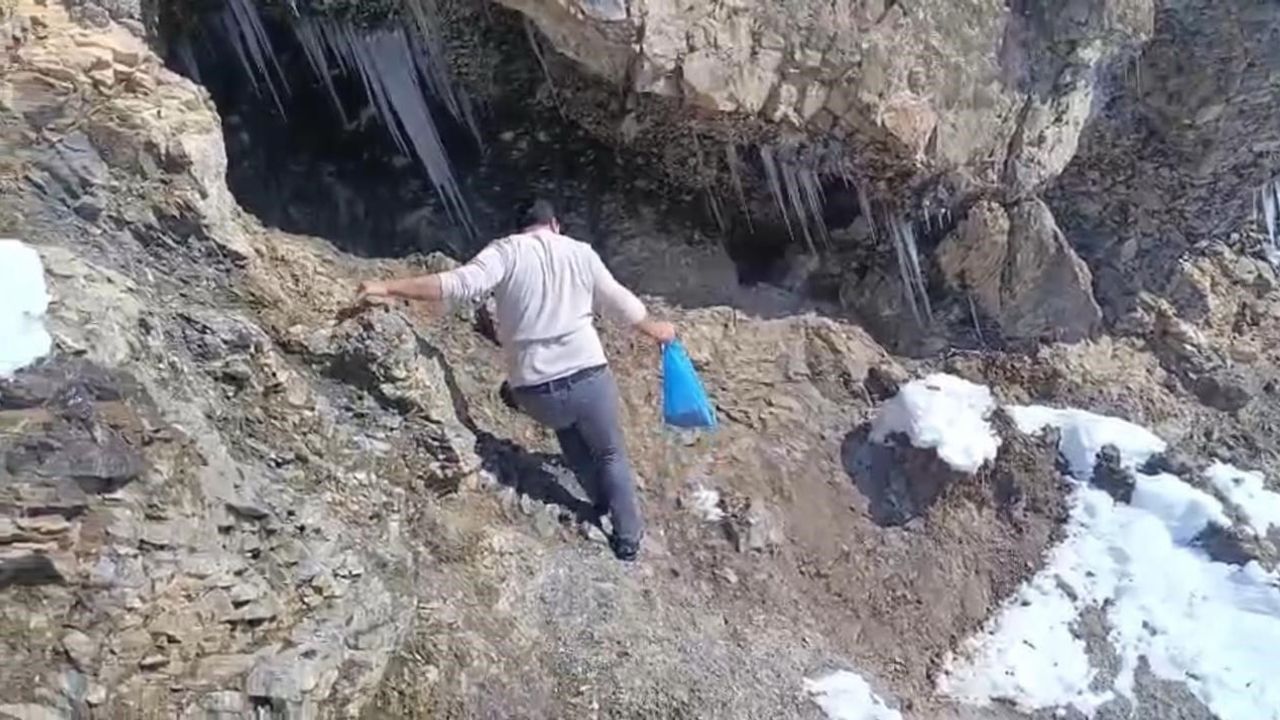 Şırnak'ta Gönüllüler Kar Altındaki Kekliklere Yem …