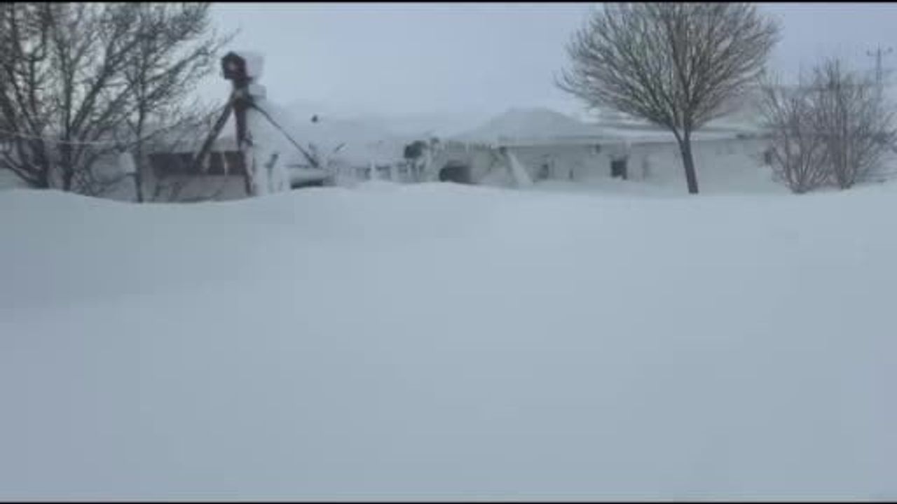 Sivas Altınyayla'da Kangal Yetiştiricisinin Çiftlikte Kar Şoku