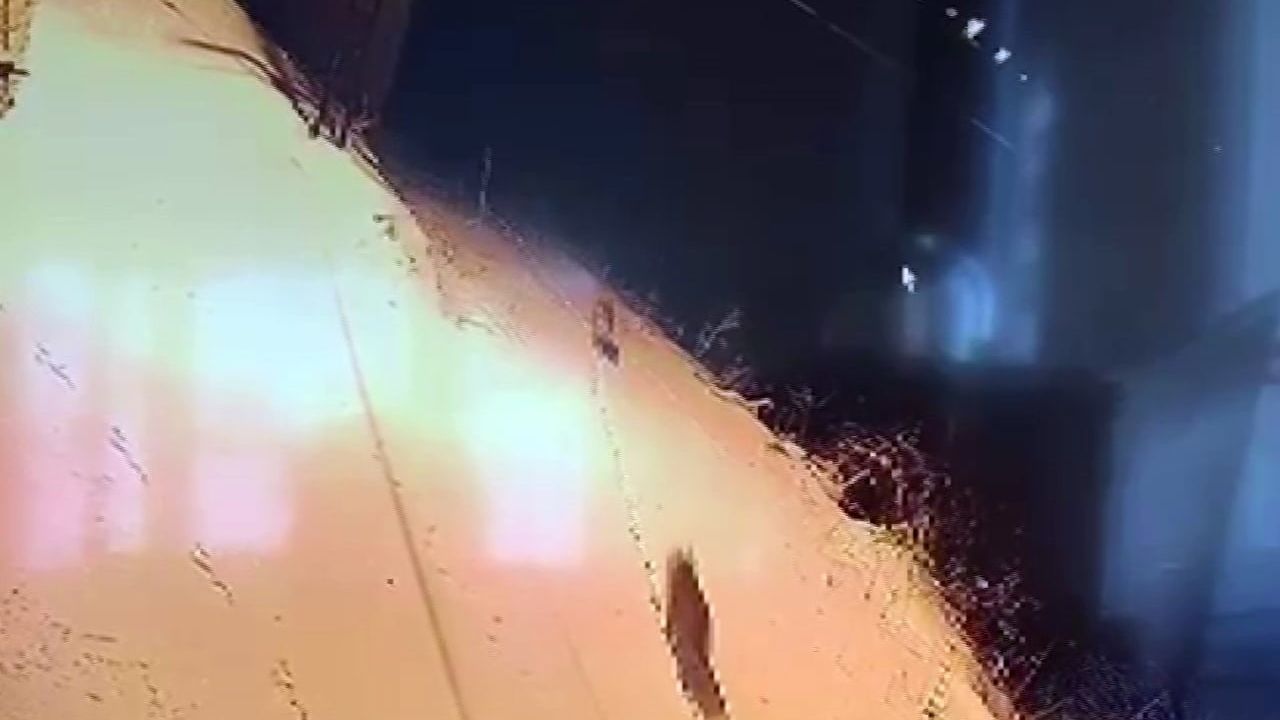 Sivas Gürün'de Kurt Sürüsü Şehre İndi