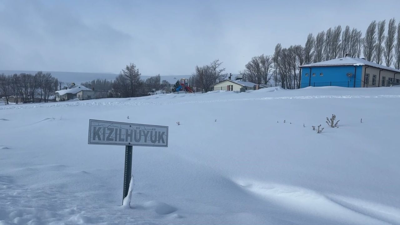 Sivas Kızılhüyük'te Köpekleri Telef Eden Kurtlar İçin Araziye Yiyecek Bırakıldı