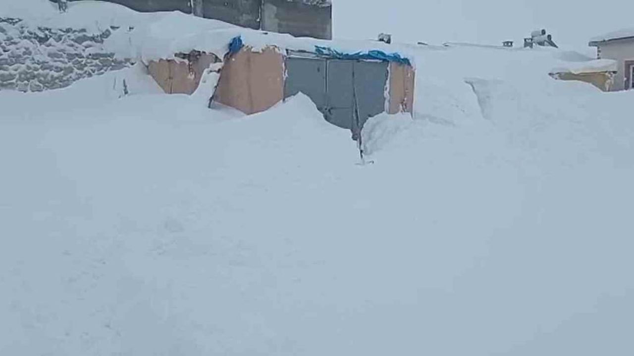 Sivas’ta 3 Metre Kar: Ahır Kapısını Bulamayınca 2 Saat Temizledi