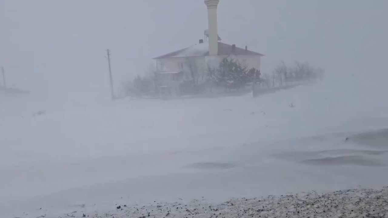 Sivas'ta Kar Altında Koyunlar — Çoban Tarık Kara Türküyle Mest Etti