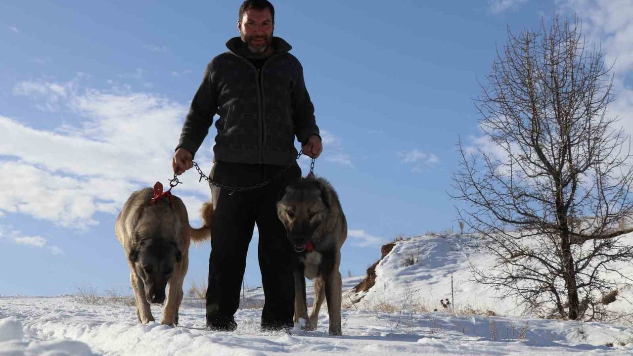 Sivas'ta Kar: Kangallar Özüne Döndü