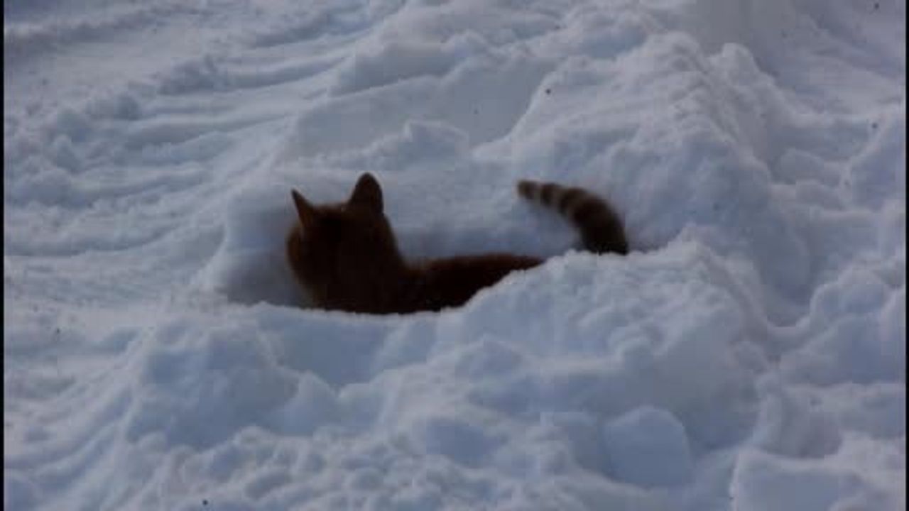 Sivas'ta Kızılırmak Kısmen Dondu: Termometreler Eksi 21'i Gösterdi