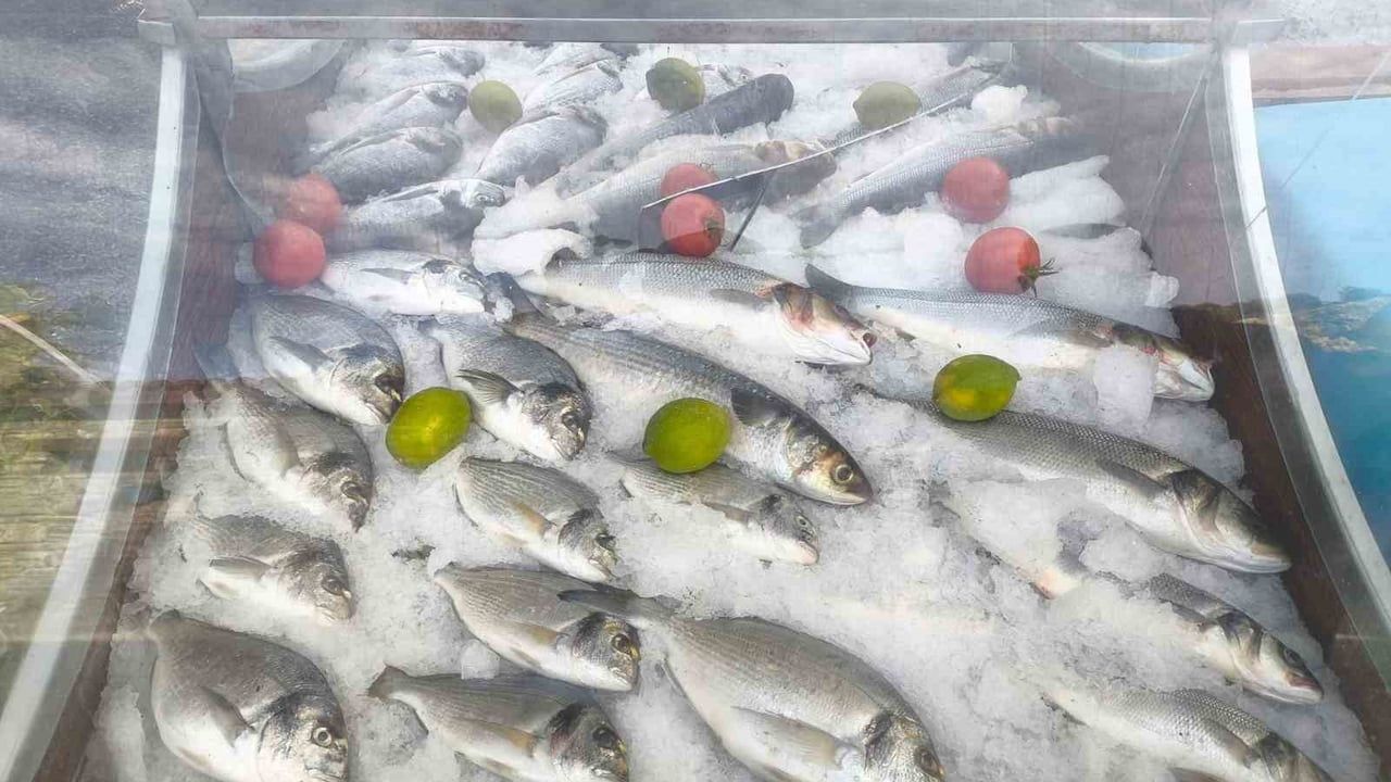 Söke'de 2025'te 814 Su Ürünleri Denetimi: 84 Kişiye İdari İşlem