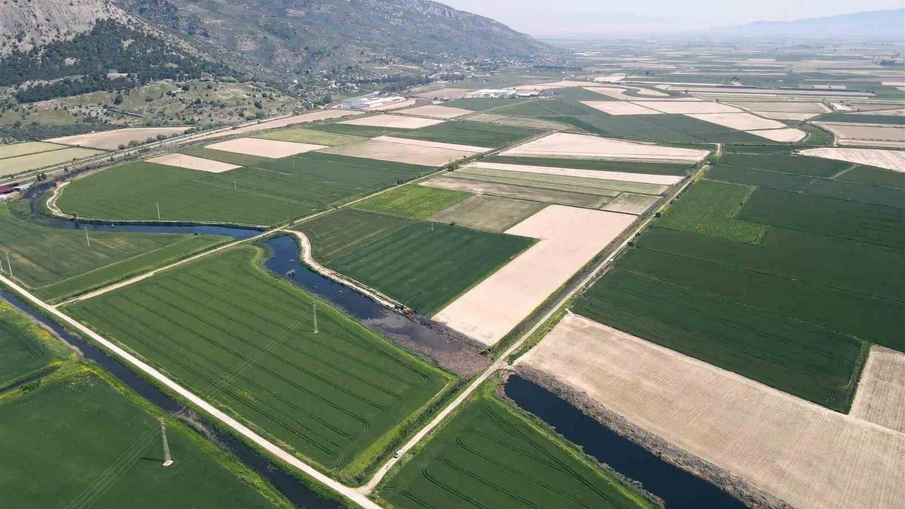 Söke'de 2026 ÇKS: 112 Ürün, Buğday, Pamuk ve Ayçiçeği Önde