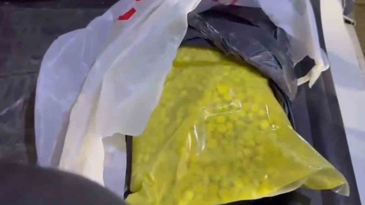 Tekirdağ'da Jandarma'dan İki Uyuşturucu Operasyonu: Çok Sayıda Madde Ele Geçirildi