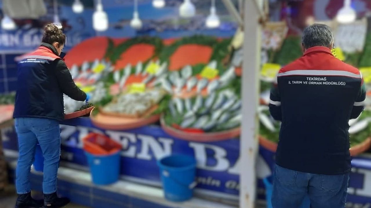 Tekirdağ'da Su Ürünleri Denetimleri Sıkılaşıyor: Yasa Dışı Avcılığa Kararlı Mücadele