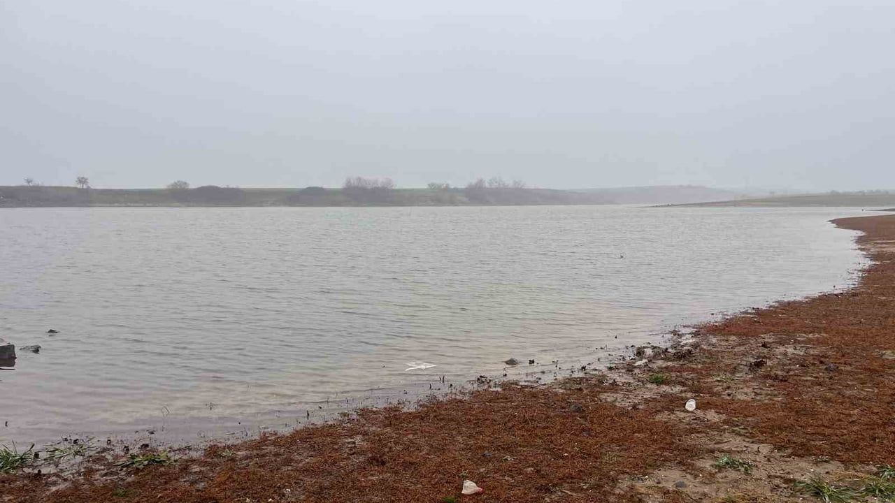 Tekirdağ'da Temrezli Göleti'nde Toplu Balık Ölümleri: Su Numunesi Laboratuvara Gönderildi