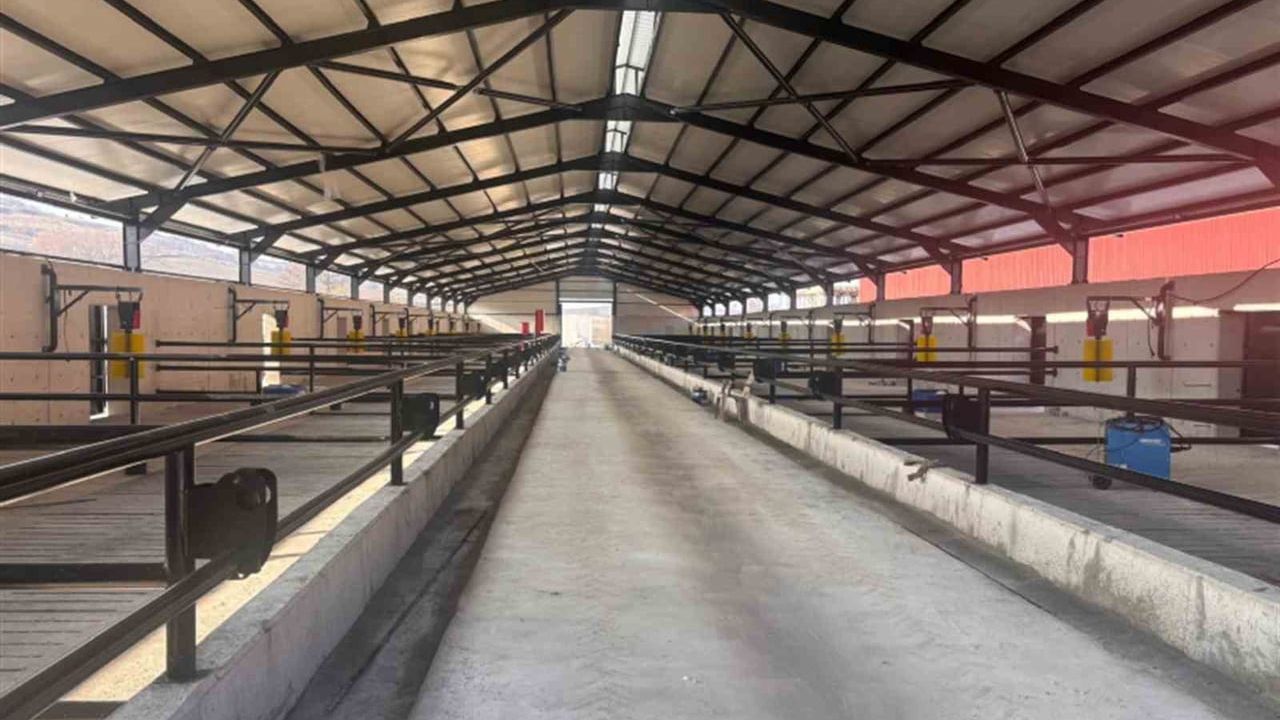 TKDK'dan 2025'te Samsun-Sinop'a 123 milyon TL hibe