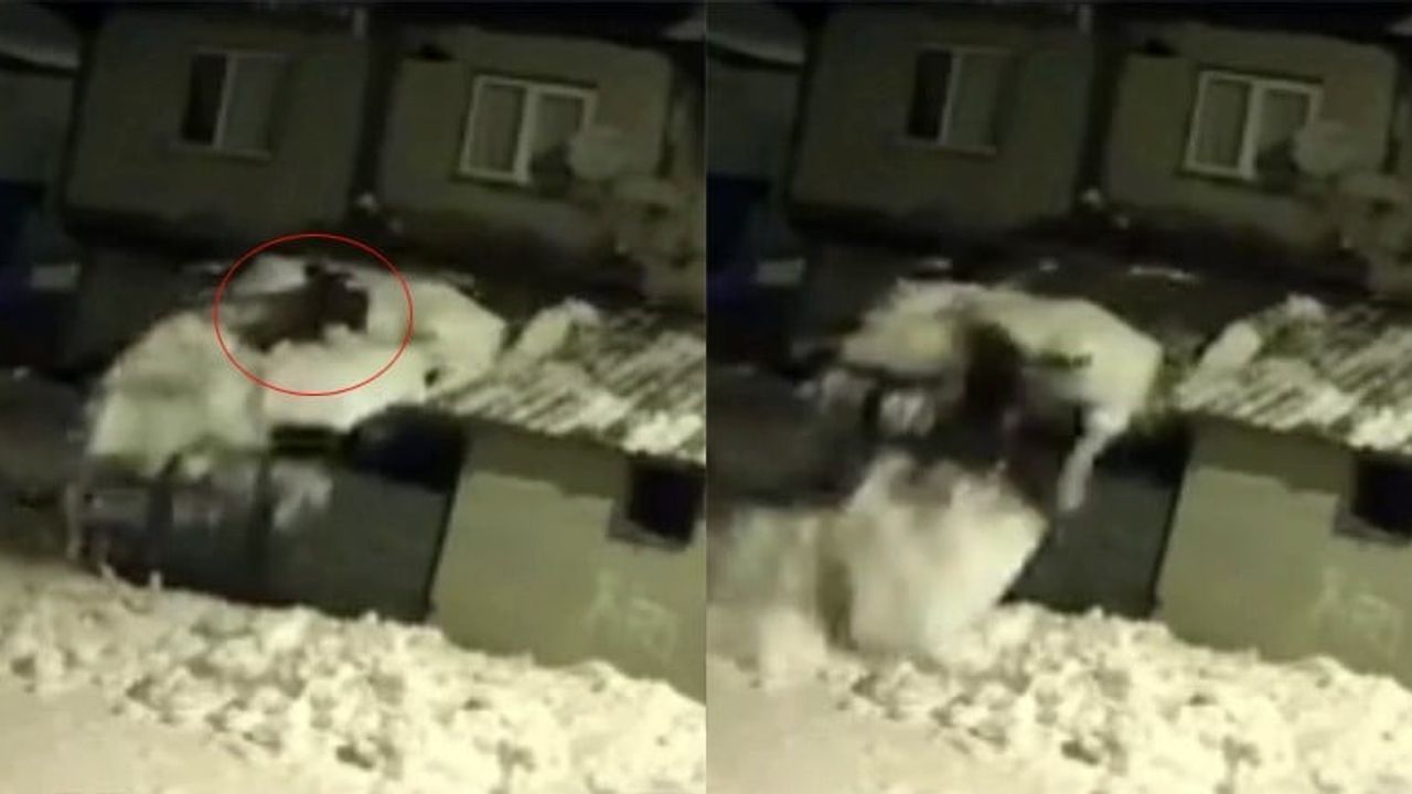 Tokat Turhal'da garaj çatısındaki kar kütlesiyle düşme kamerada