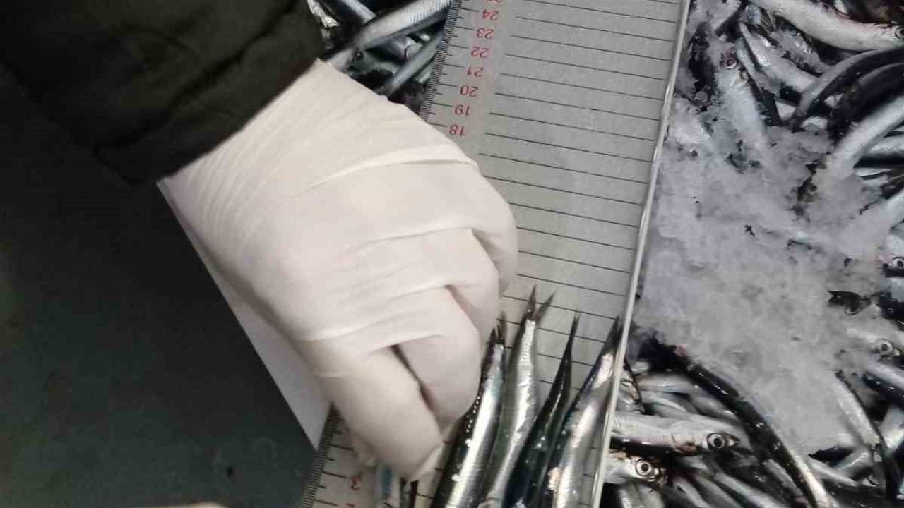 Trabzon’da 2025 Su Ürünleri Denetimleri: 43 Kişiye 3,2 Milyon TL Ceza