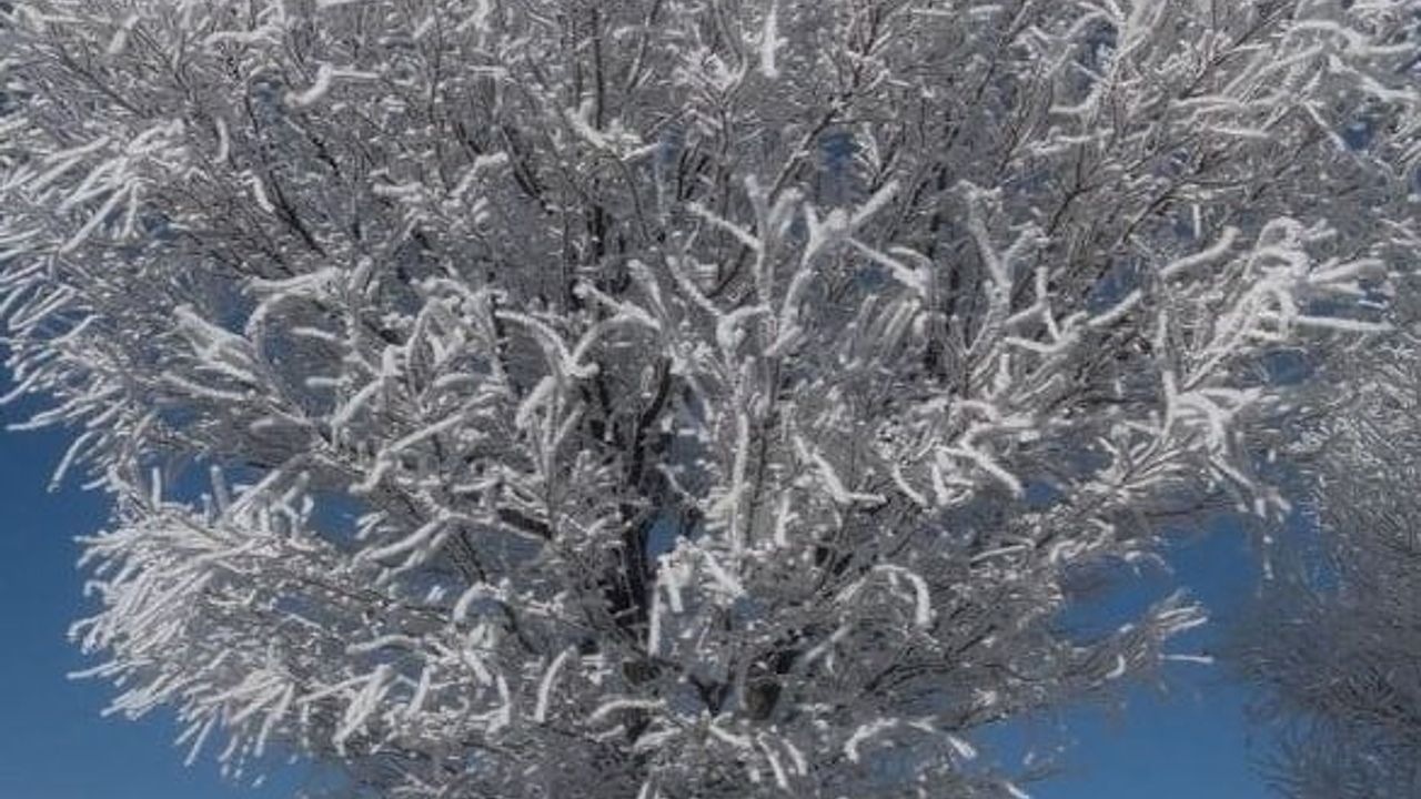 Tufanbeyli’de Eksi 20 Derecede Kartpostallık Kırağı