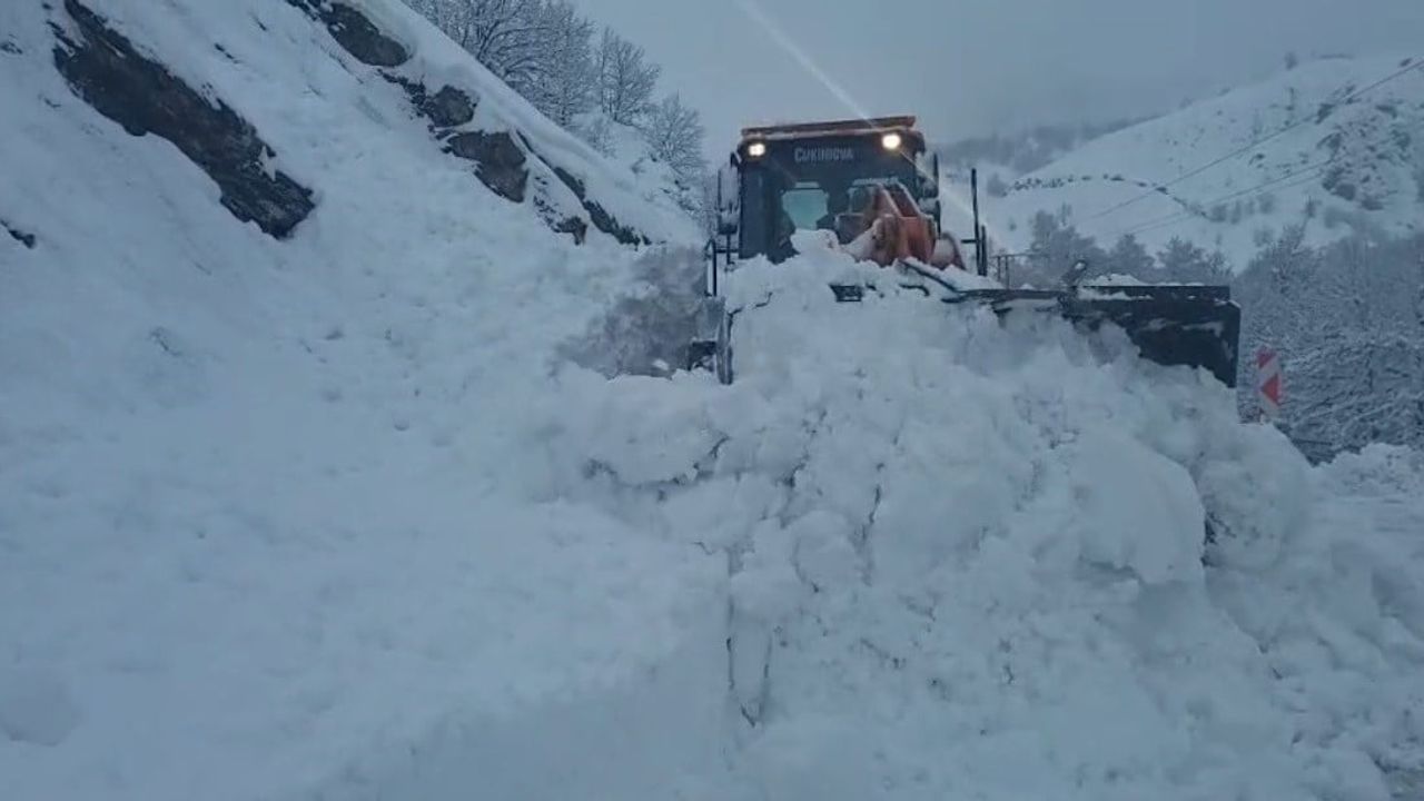 Tunceli-Ovacık Yolunda Çığ: Karayolları Hızla Müdahale Edip Yol Açtı