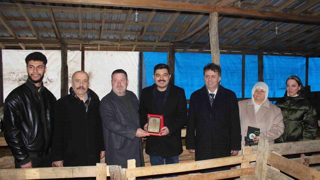 Türkeli'de Örnek Koyunculuk: Üreticilere Başarı Plaketi