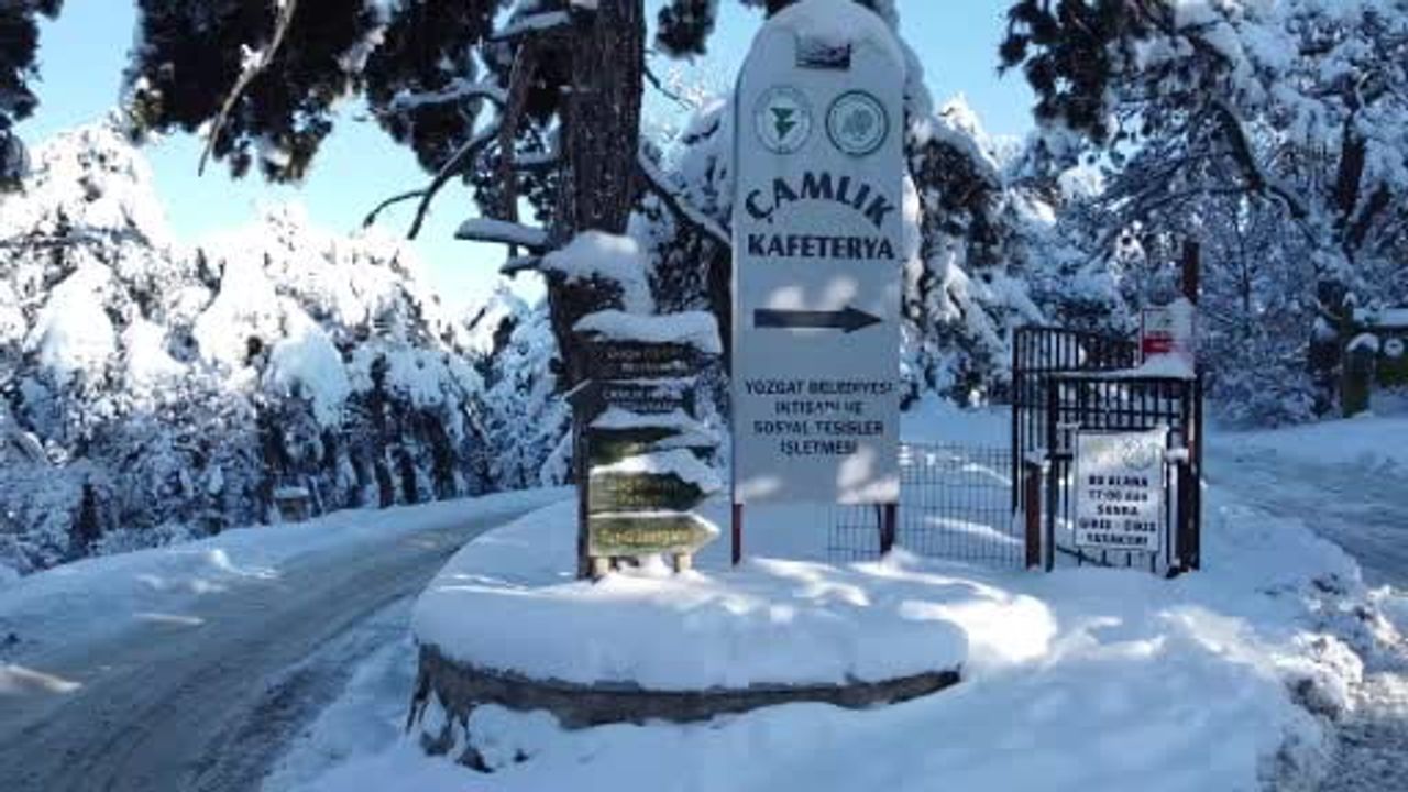 Türkiye’nin İlk Milli Parkı Yozgat Çamlığı'nda Kar Manzarası Havadan Görüntülendi