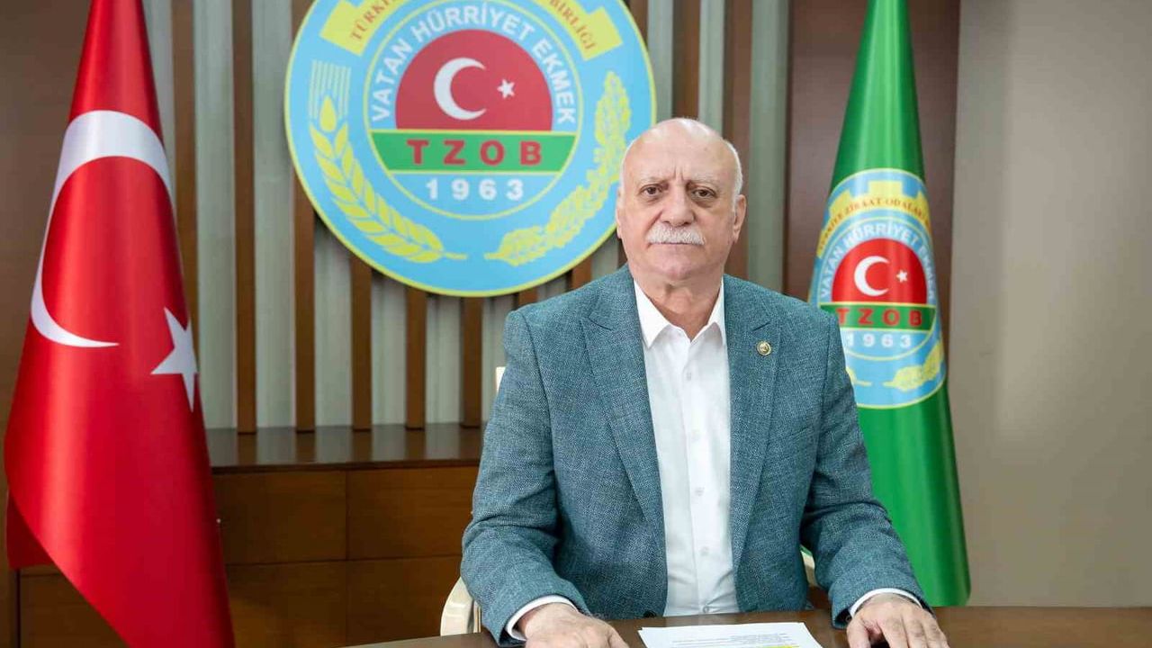 TZOB: Ocak'ta üretici-market farkı en yüksek havuçta (%278,1)