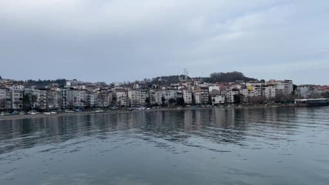 Ünye'de Hava Kirliliği Alarmı: HKİ 267 ile 'Kötü' Seviyesi