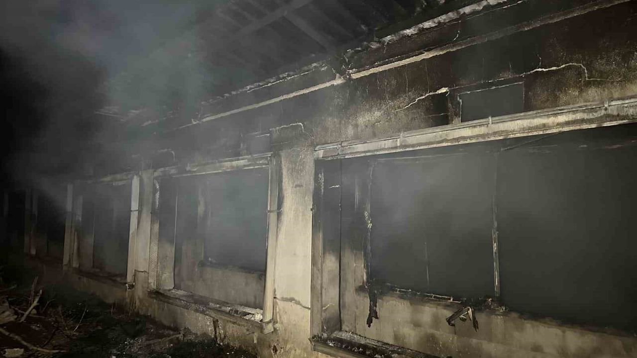 Uşak'ta Boş Tavuk Çiftliğinde Yangın: İtfaiye Müdahalesiyle Söndürüldü