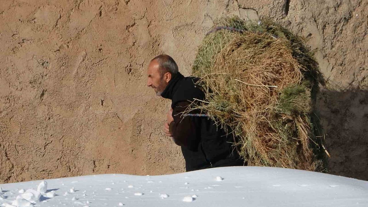 Van Çatak'ta Besicilerin Zorlu Kış Mesaisi