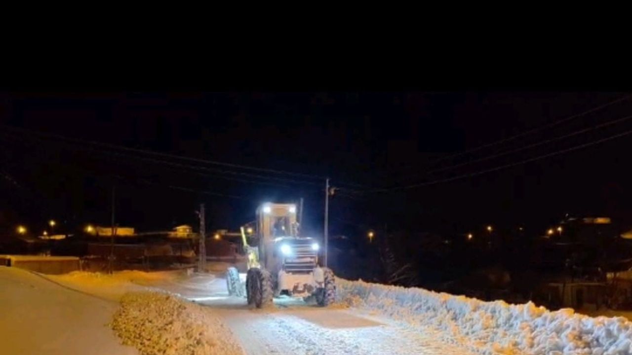 Van'da 341 Yerleşim Yerinin Yolu Kapandı — Kar ve Tipi Etkili
