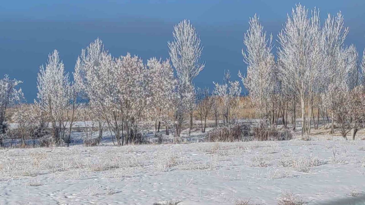 Van'da Sibirya Soğukları: Buzlanma ve Don Hayatı Zorluyor