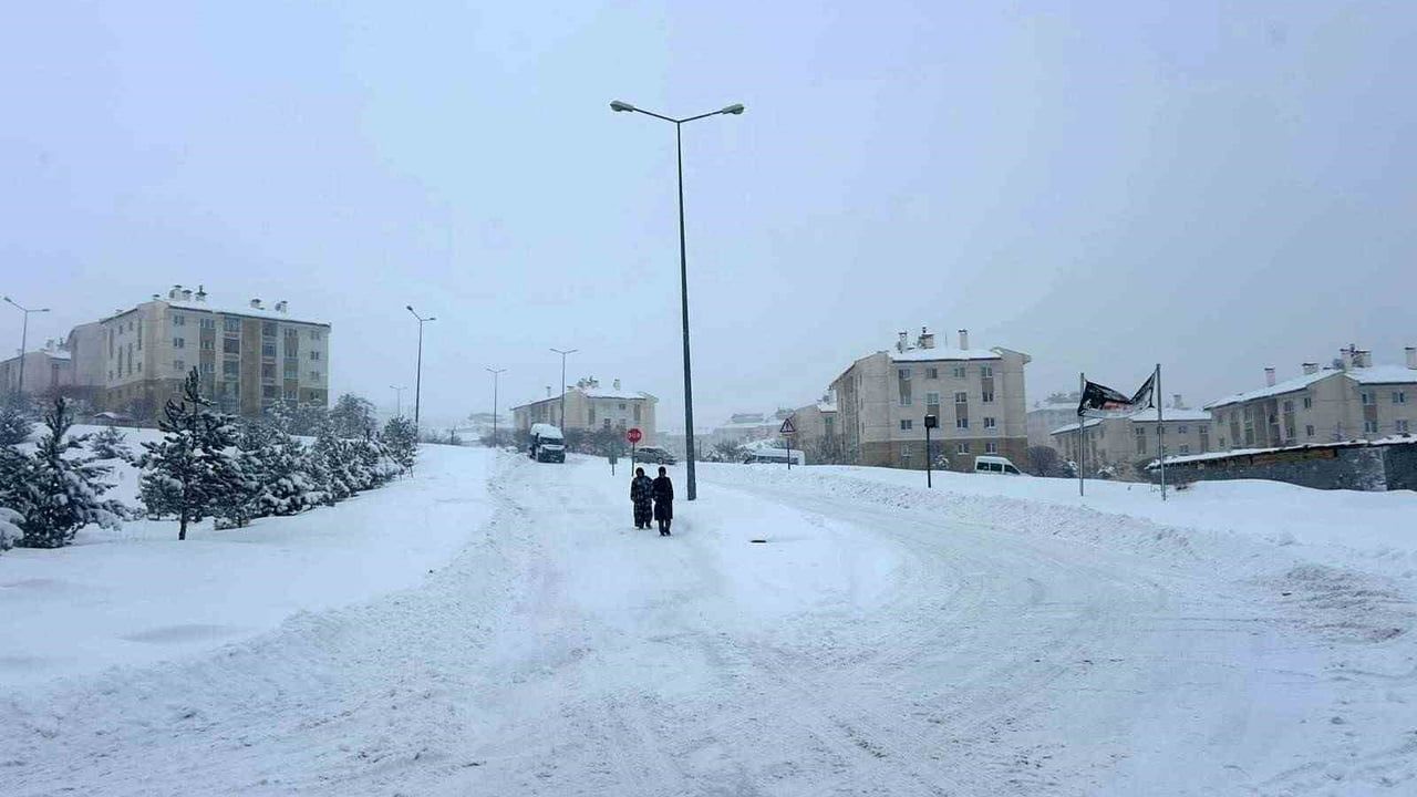 Van'da Yoğun Kar ve Sis: 287 Yerleşim Yerine Ulaşım Kapandı
