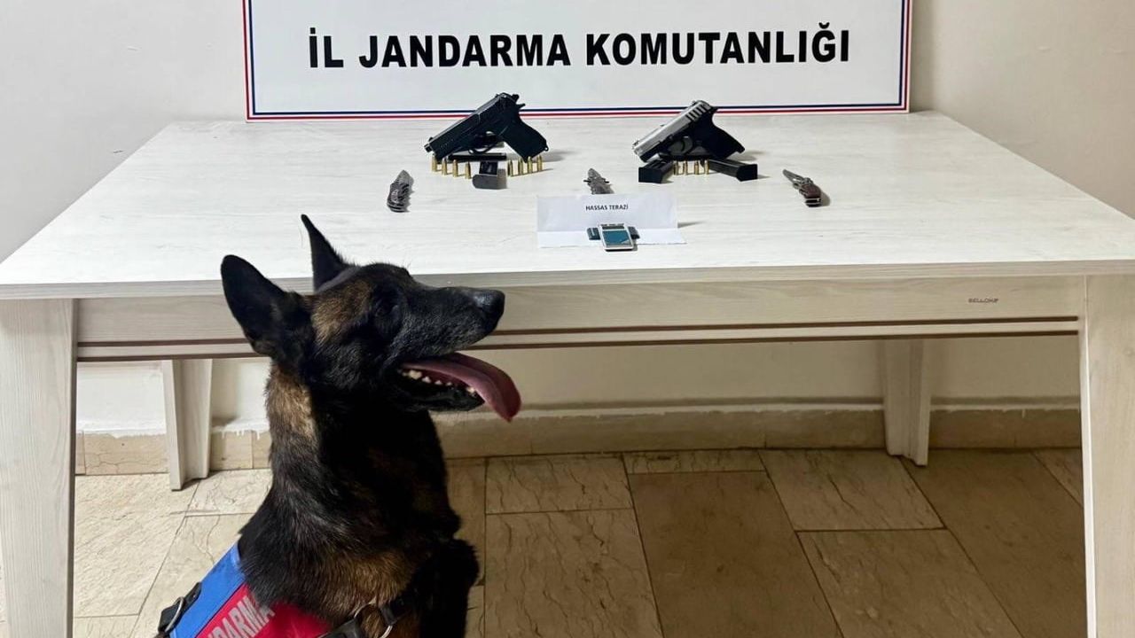Van Erciş'te Jandarma Operasyonu: 2 Ruhsatsız Tabanca Ele Geçirildi