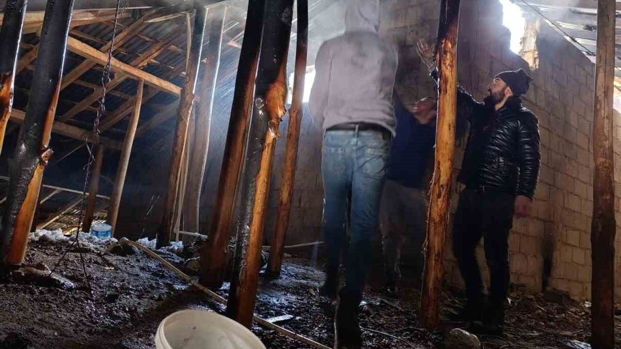 Van Gevaş'ta Uysal Mahallesi'nde Çatı Yangını Söndürüldü