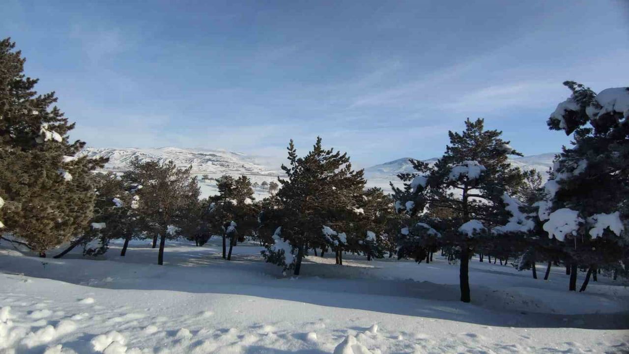 Van-Özalp Kara Yolunda Yoğun Sis: Görüş 30 Metreye Düştü